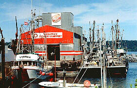 The Canadian Fishing Company, Campbell River