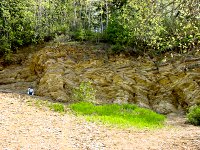 Fossil Beds