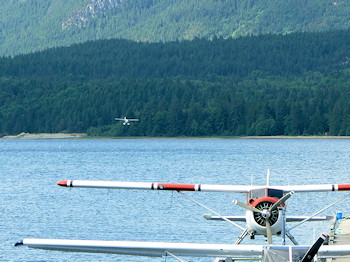 Porpoise Bay Docks